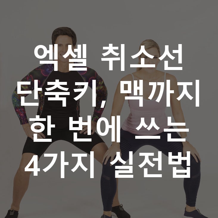 엑셀 취소선 단축키, 맥까지 한 번에 쓰는 4가지 실전법