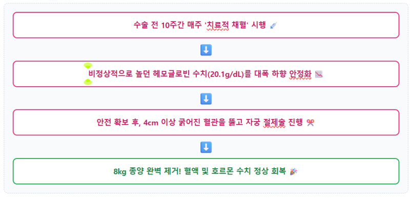 뱃살인 줄 알았는데 신생아 3명 무게? 8kg 거대 자궁근종의 충격!