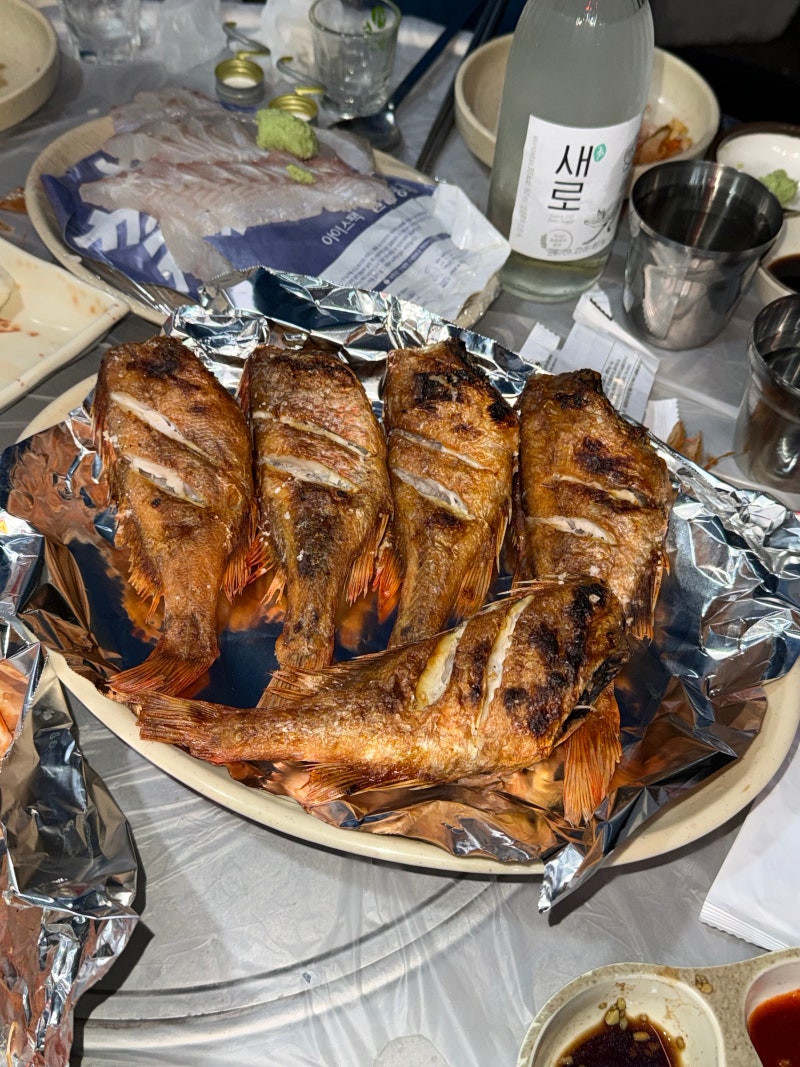 청주 야장 맛집｜용암동 엄박사횟집 대하, 회에 한잔
