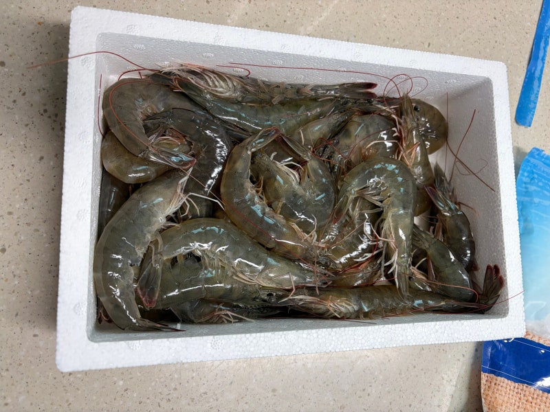 김포 대하 맛집 '인천수산 대하양식장' : 1kg 35,000원 포장 후기