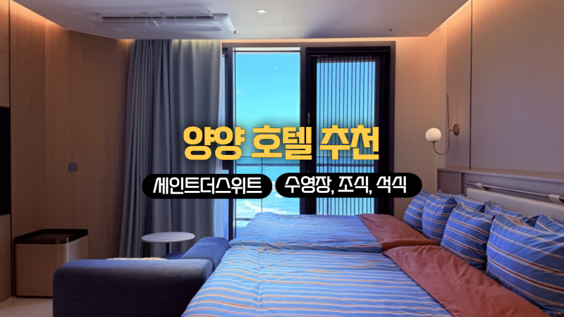 양양 호텔 세인트더스위트양양 후기 객실 수영장 조식 석식 총정리