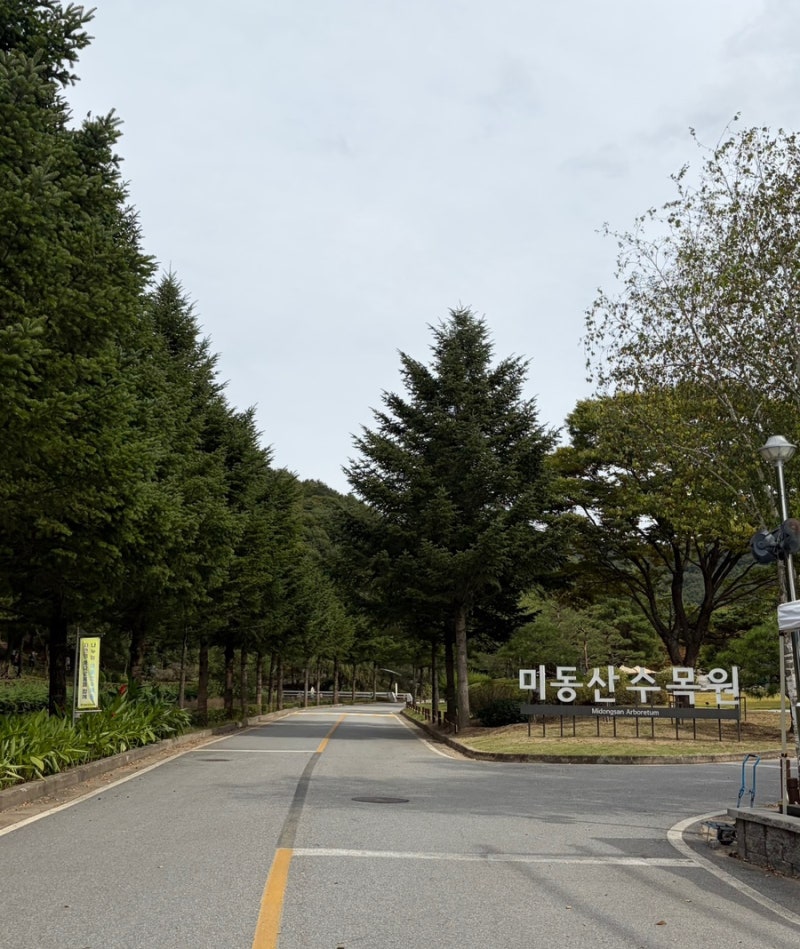[청주 미동산수목원] 가을에 아기 둘과 다녀온 솔직 후기