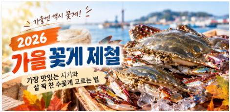 가을꽃게 제철 알이 꽉찬 꽃게 고르는 방법 I 암게 숫게 구별방법