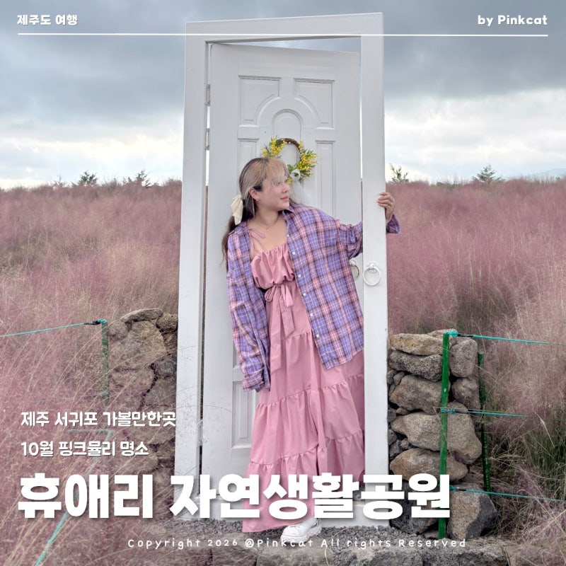 10월 제주도 여행 서귀포 가볼만한곳 핑크뮬리 명소 휴애리 자연생활공원 감귤 체험 추천