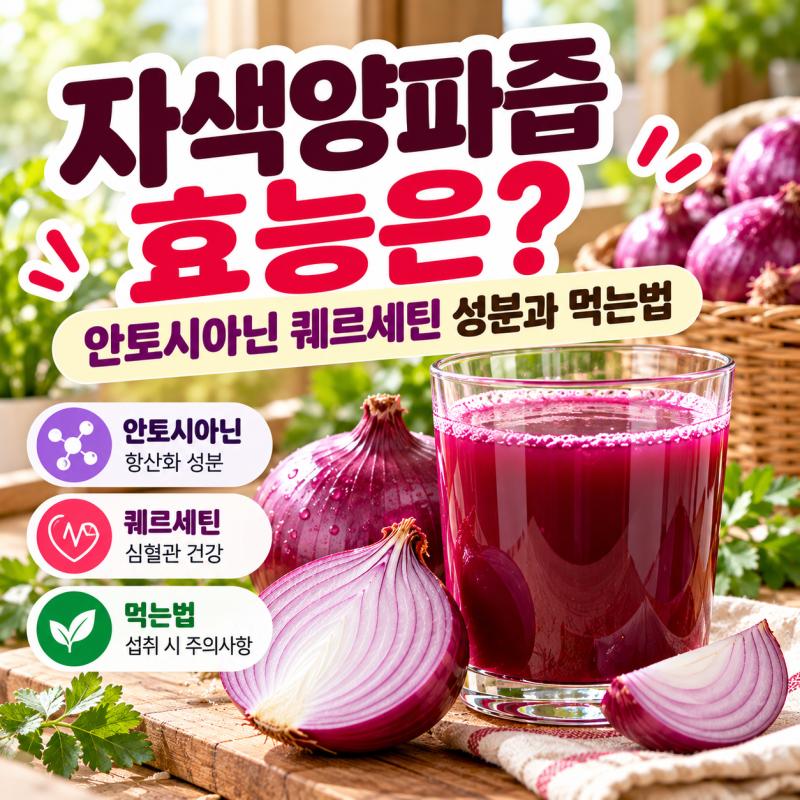 자색양파즙 효능은? 안토시아닌 퀘르세틴 성분과 먹는법