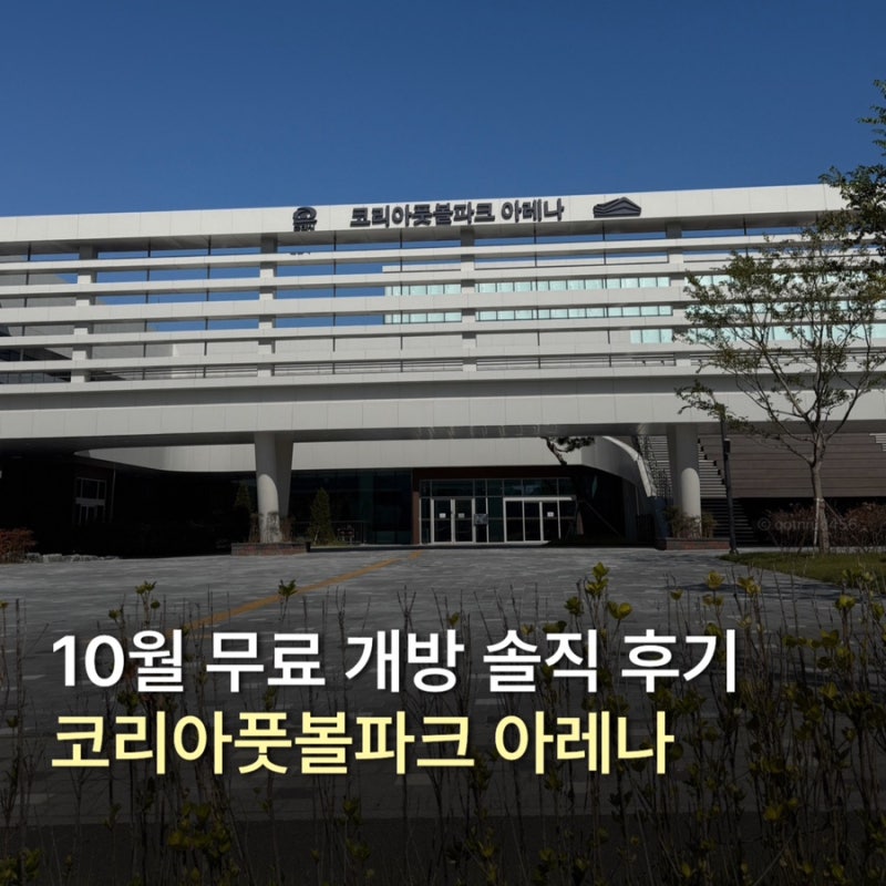 천안 신상 수영장 코리아풋볼파크 아레나 후기｜수질은 좋지만 아쉬웠던 점