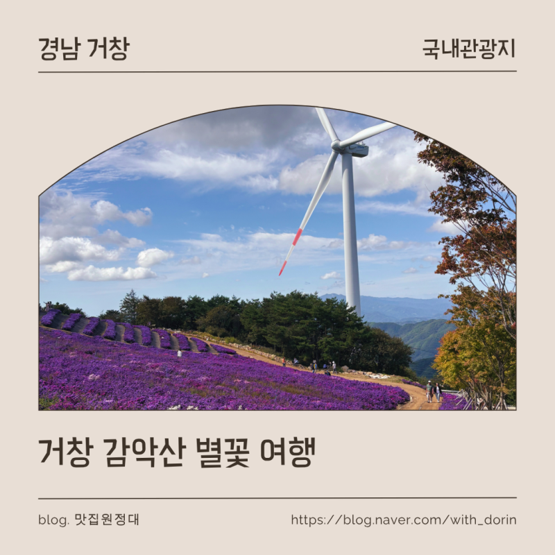 거창 감악산 꽃별여행 축제 후기, 셔틀버스부터 실제 방문 후기까지