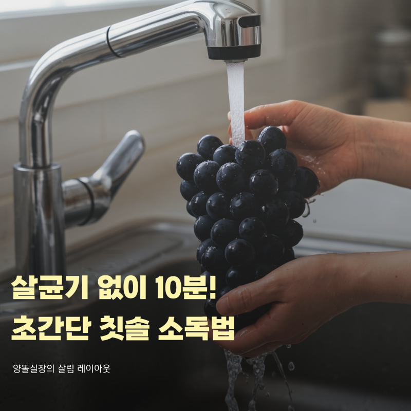 머루포도 세척법, 베이킹소다 대신 밀가루 써보고 정착한 이