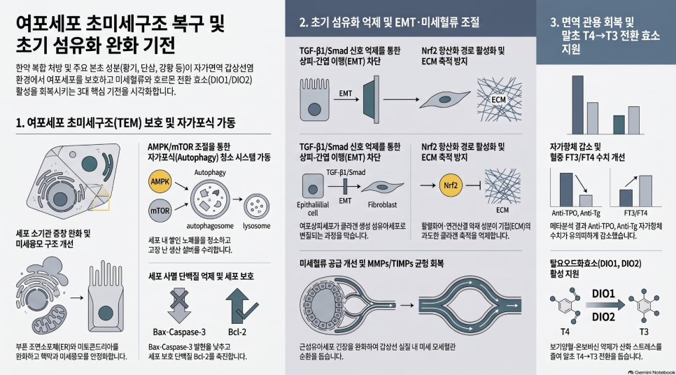 오브한의원 임상 칼럼