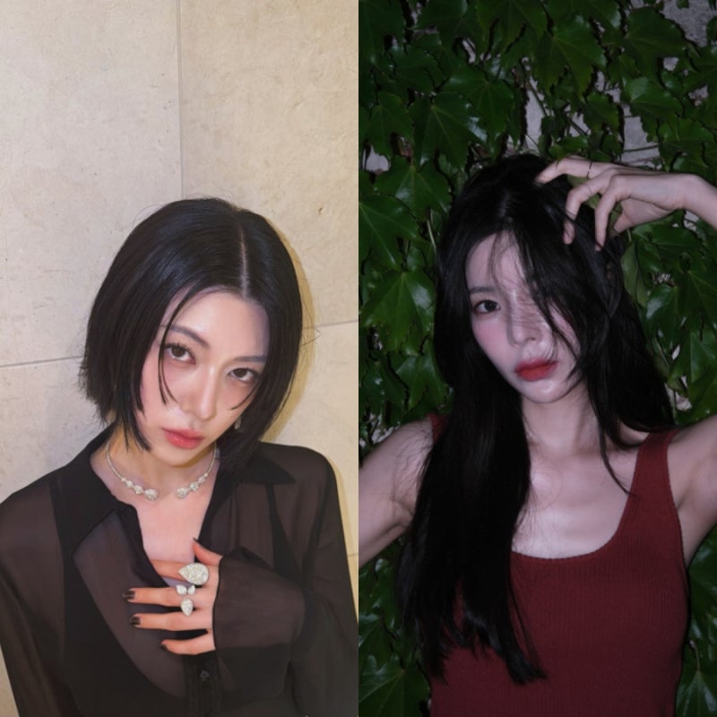 얼굴은 닮았는데, 패션은 정반대?.. 장재인 VS 미요시 아야카