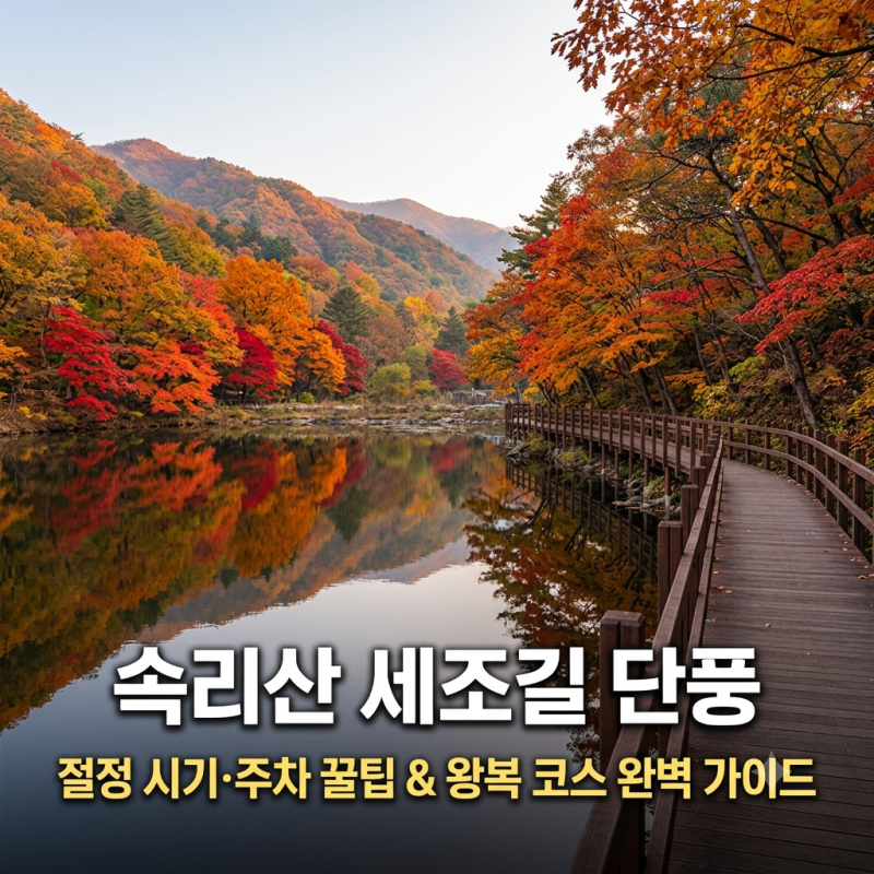 부모님 모시고 가기 딱 좋은 속리산 세조길 단풍: 절정 예측일부터 세심정 왕복 팁