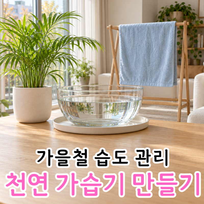 천연 가습기 만들기, 가습기 없이 실내 습도 높이는 방법