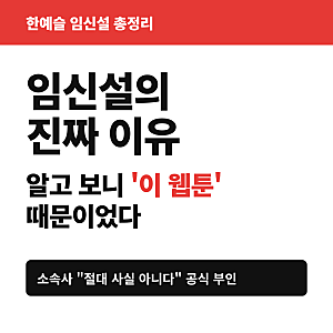 한예슬 임신설 부인, 시작은 웹툰 한 편이었다