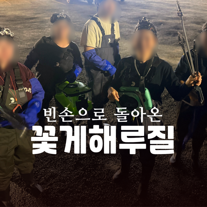 Our Hilarious Nighttime Foraging Fail: Newbies Couldn't Even Find Crabs at Sinduri Beach, Taean
