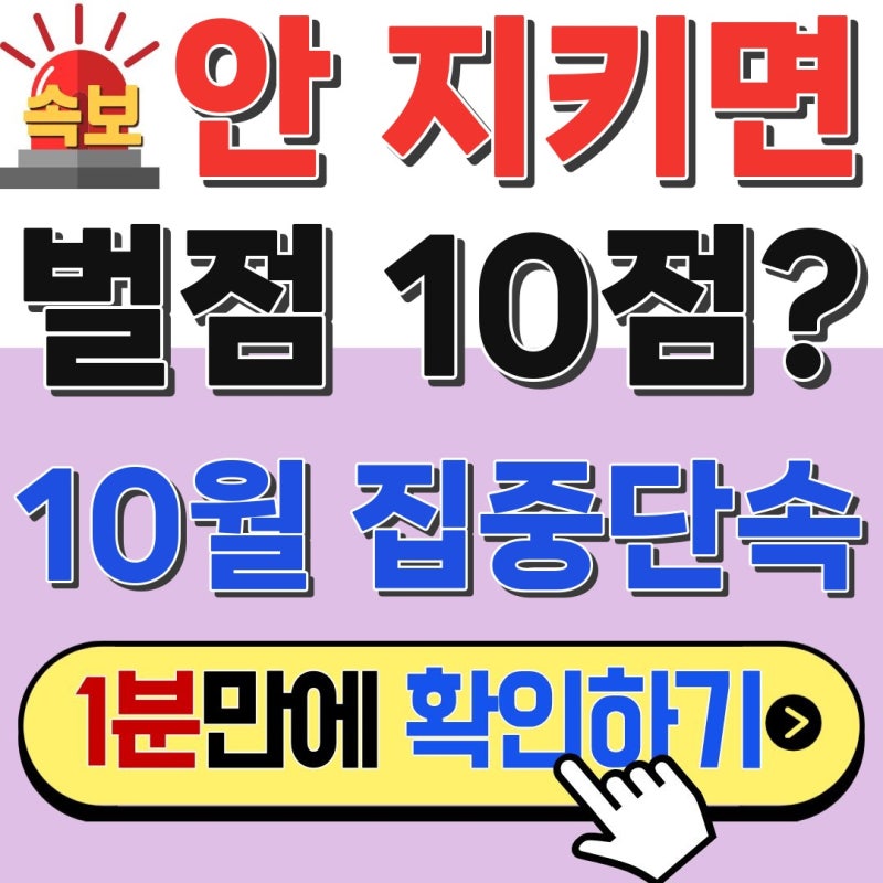 (속보) 10월 도로교통법 집중단속 시작! 3개월간 이 3가지 꼭 지키세요