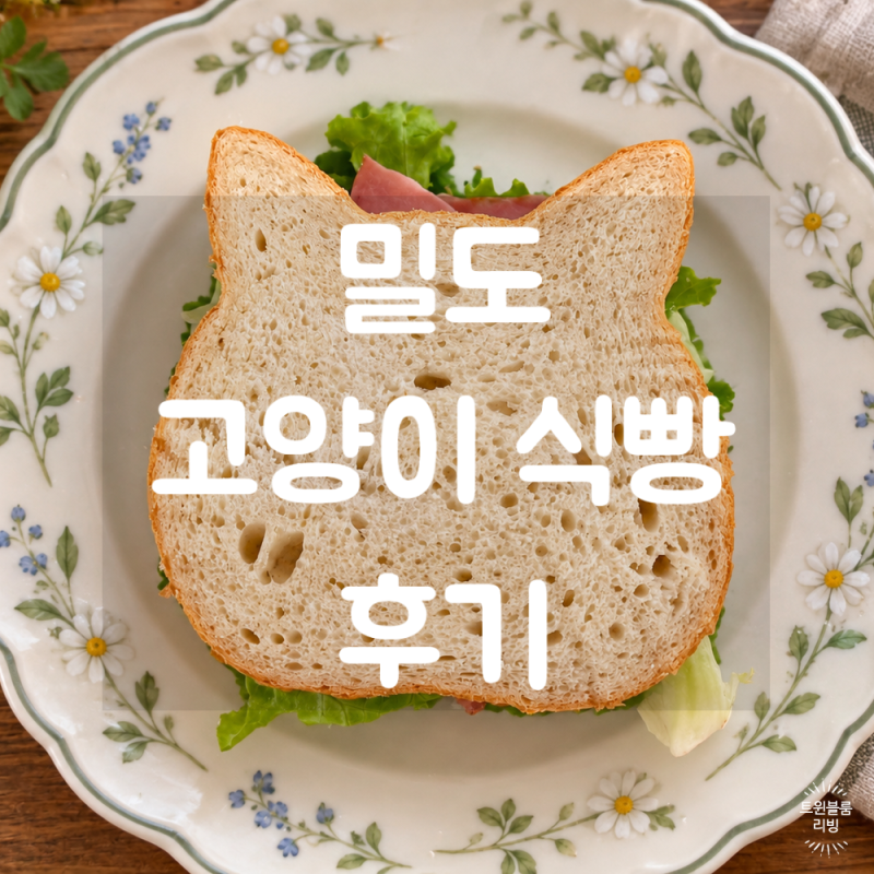 밀도 고양이 식빵 후기 | 가격 칼로리 보관부터 샌드위치 만들기까지