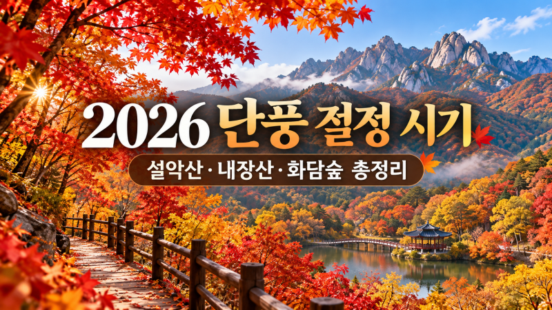 2026 단풍 절정 시기 언제?｜설악산·내장산·화담숲 단풍 시기 총정리