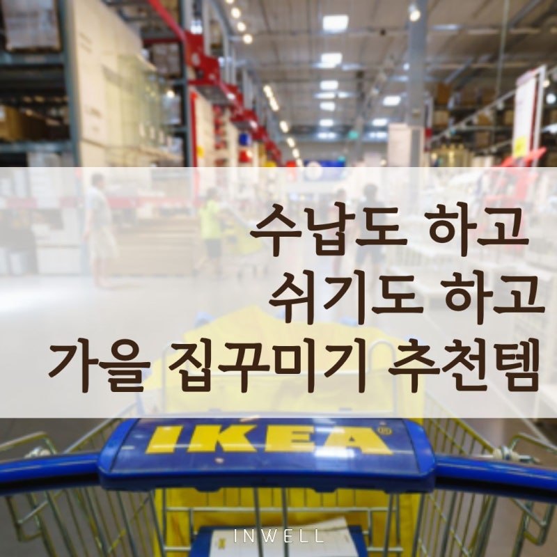 “구경만 하려다 이것만 봤어요” 이케아 추천템, 정리부터 독서공간까지