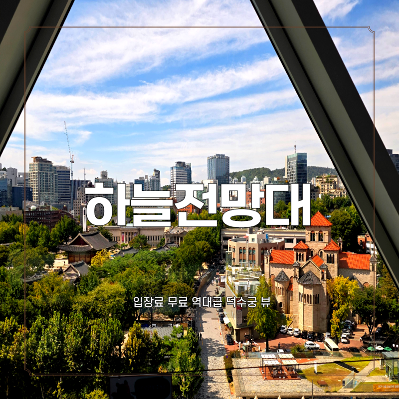 서울시청 하늘전망대 무료입장! 덕수궁 뷰 한눈에 담는 서울 실내 가볼만한곳