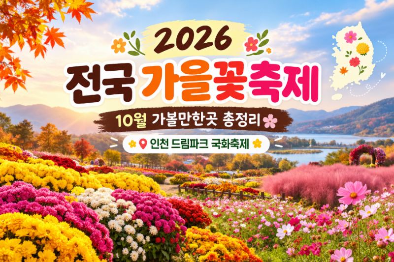 2026년10월 전국 가을꽃축제 일정 총정리 | 코스모스,천일홍,구절초,메밀꽃,국화,억새,단풍