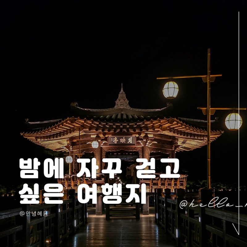안동 야경 보러 갔다가 반한 안동 월영교, 경북 여행에서 꼭 가볼 곳