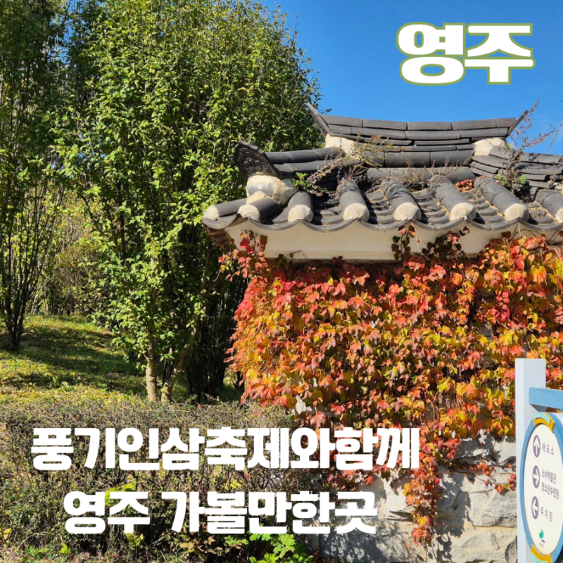 영주 풍기인삼축제와 함께 영주 가볼만한곳 여행코스 BEST 4