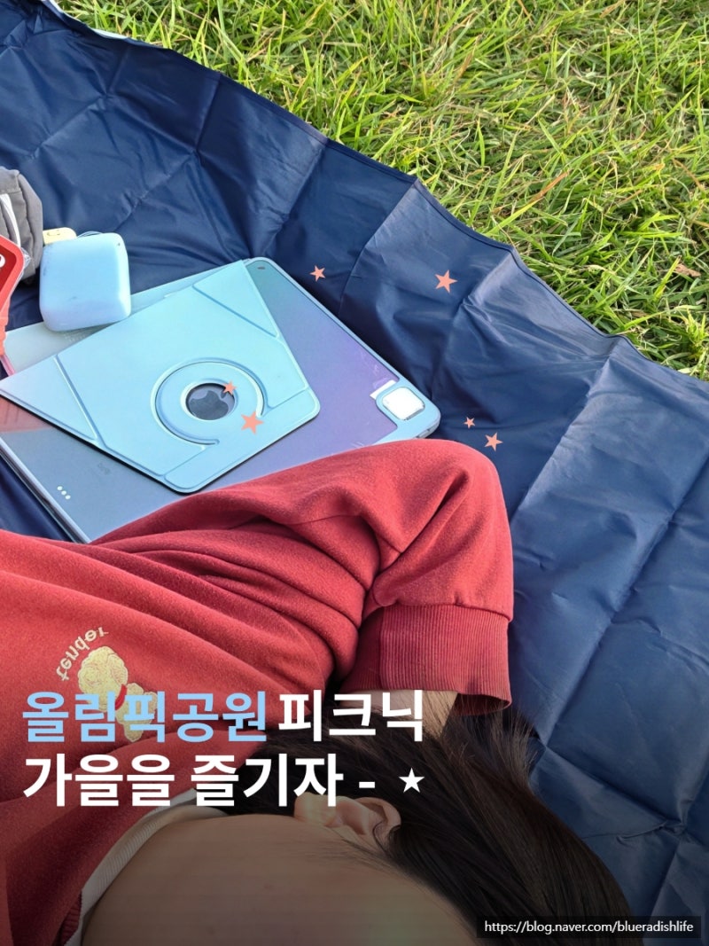 올림픽공원에서 청춘을 느끼자! 서울 가을 피크닉하기