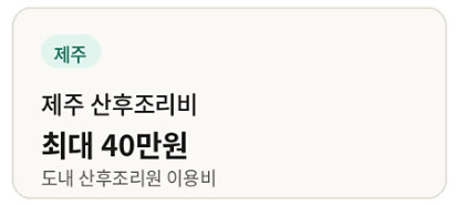 뒤늦은 결정! 산후도우미 정부지원 복지로 온라인 신청기간과 방법! 제주도 산후도우미 지원....