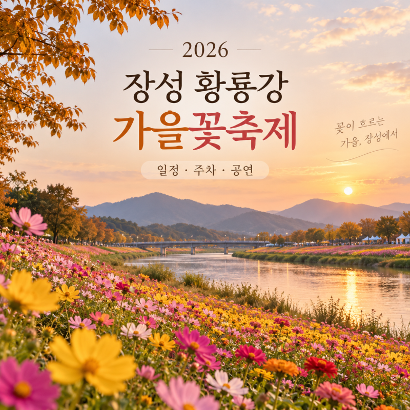 2026 장성 황룡강 가을꽃축제 일정 주차 개화상황 초대가수 YB 어반자카파 J라이트런 일정 불....