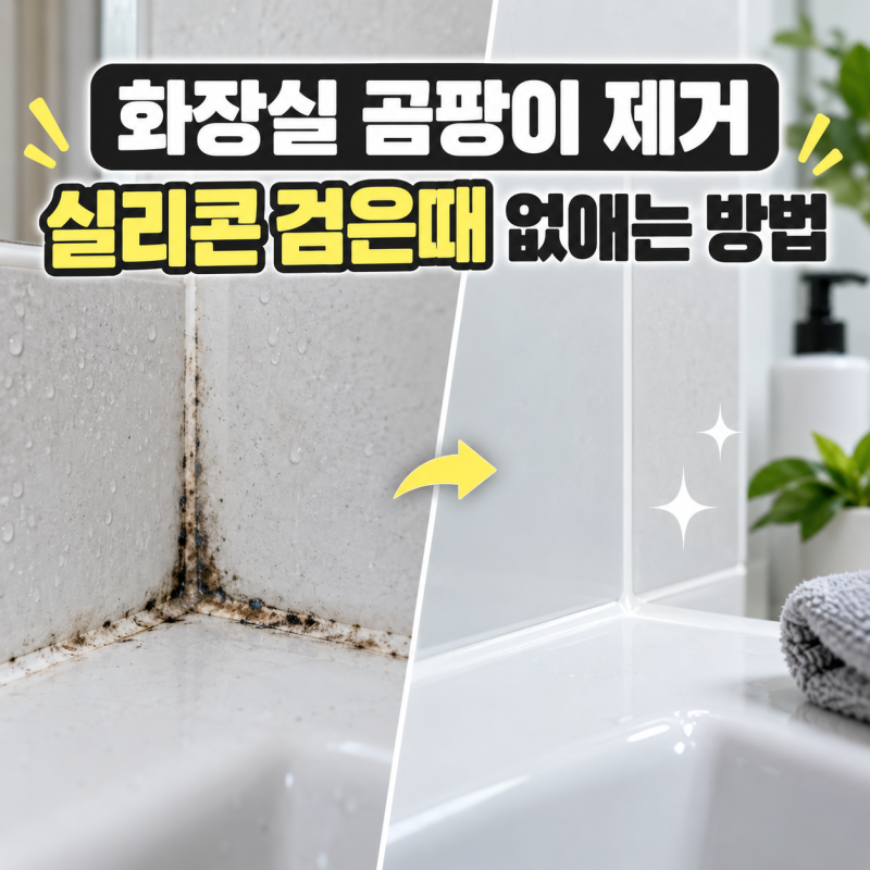 화장실 곰팡이 제거 실리콘 검은때 없애는 방법