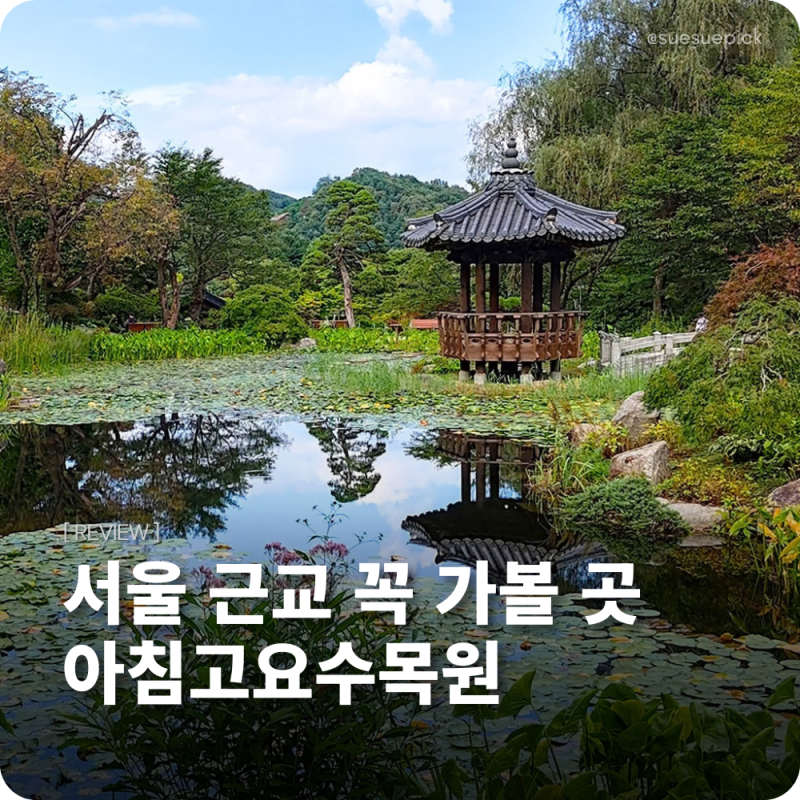 Gapyeong Morning Calm Arboretum: A Trip Near Seoul Review (+Digital Tourist Card Discount Tip)