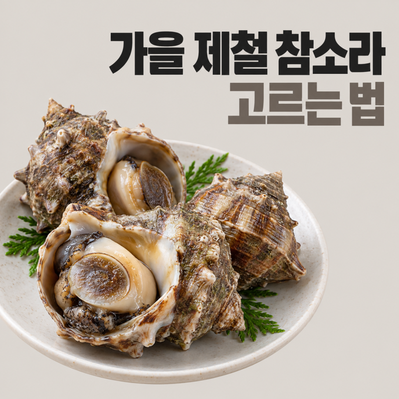 가을 제철 참소라 고르는 법, 침샘 테트라민 손질과 삶는 시간