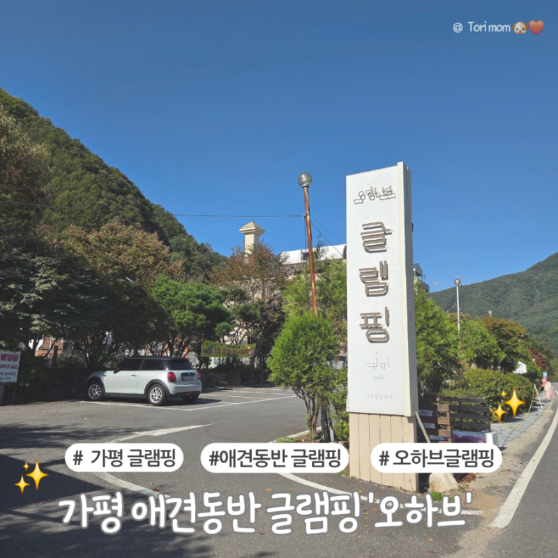 가평 애견 동반 글램핑｜강아지랑 다녀온 오하브 글램핑 솔직후기