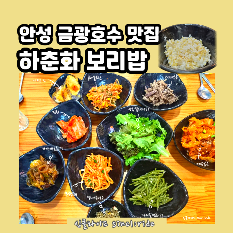 안성 금광호수 하춘화보리밥｜보리밥정식 나물반찬 솔직후기