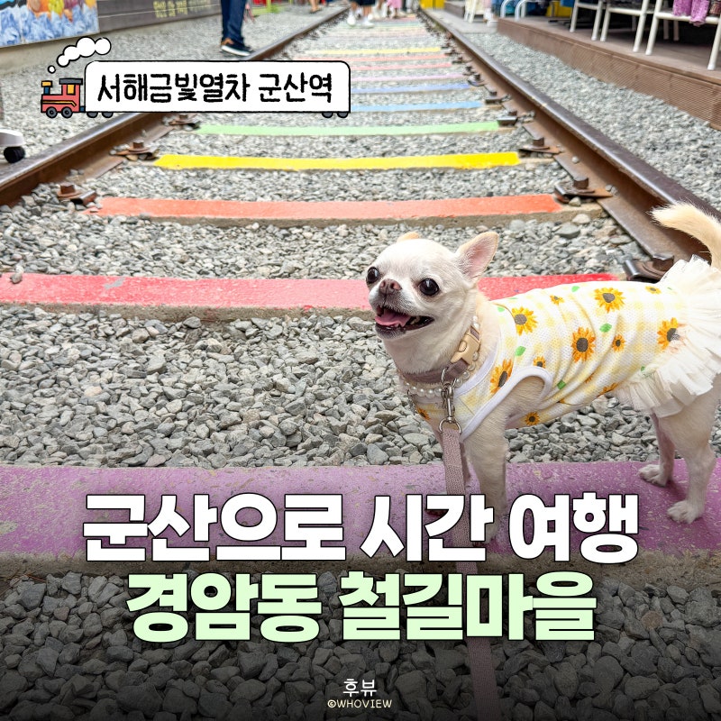 군산 경암동 철길마을 애견동반 무지개 철길 포토존 교복체험 총정리