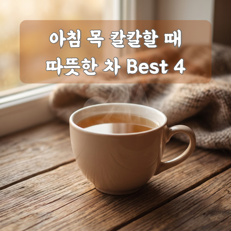 환절기 아침 목 칼칼할 때 마시기 좋은 따뜻한 차 4가지와 기관지 관리법
