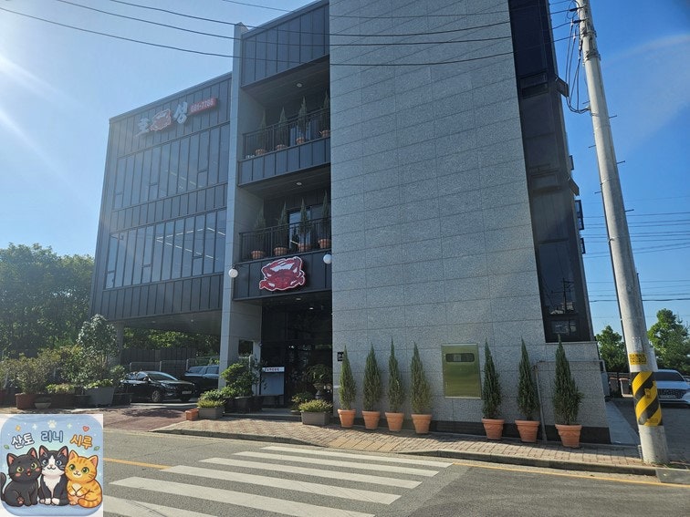 [평택 맛집] 풍자 또간집 평택 '호성식당' | 블루리본 꽃게탕과 밥도둑 게장 서비스