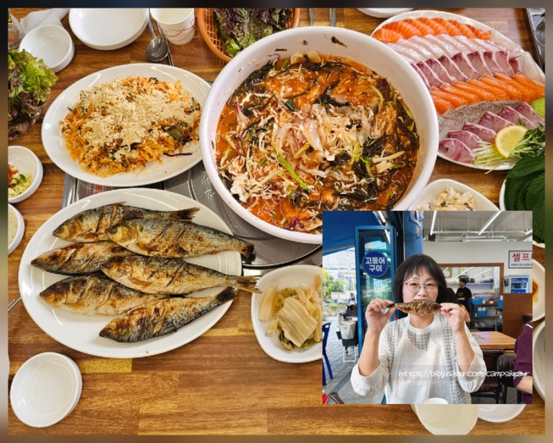 수원 가성비 횟집 매교동 야장 가을 전어 맛본 속초종합어시장