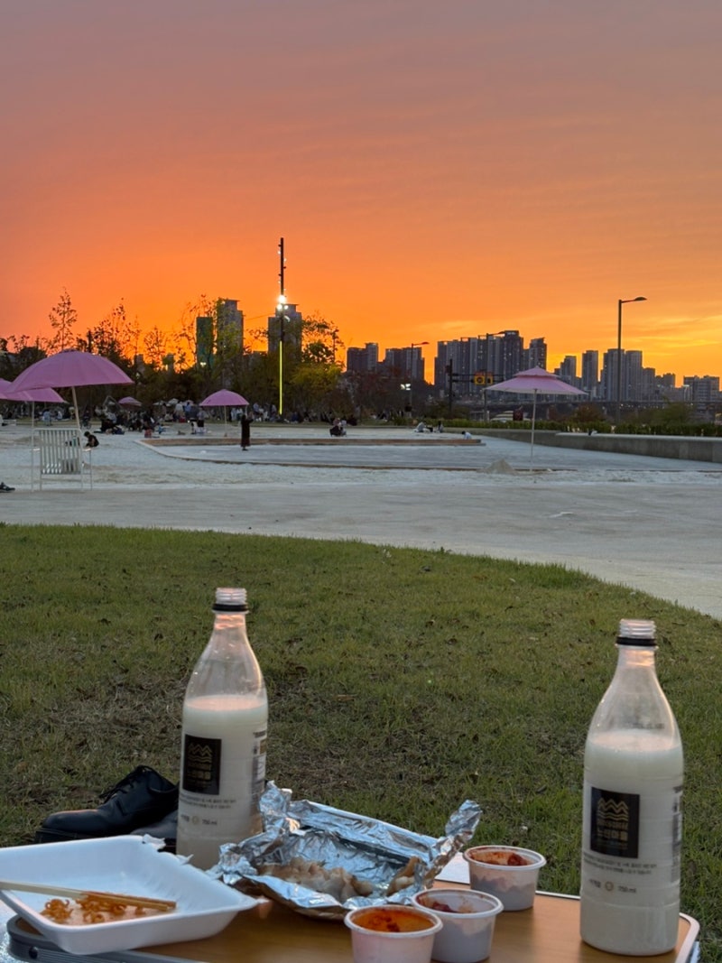 Jamsil Hangang Park Picnic: Best Spots, Delivery Zones, and Food Recommendations