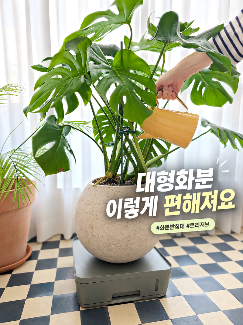 아.. 진작 바꿀껄, 화분받침대 하나에 이렇게 차이가 날 줄이야
