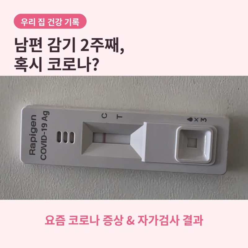2주째 안 낫는 감기, 혹시 코로나? 2026 요즘 코로나 증상과 병원 가야 할 때