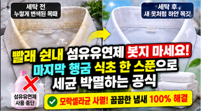 세탁기 빨래 꿉꿉한 쉰내 없애는 법 헹굼에 '이것' 한 스푼 넣었더니 싹 사라졌어요