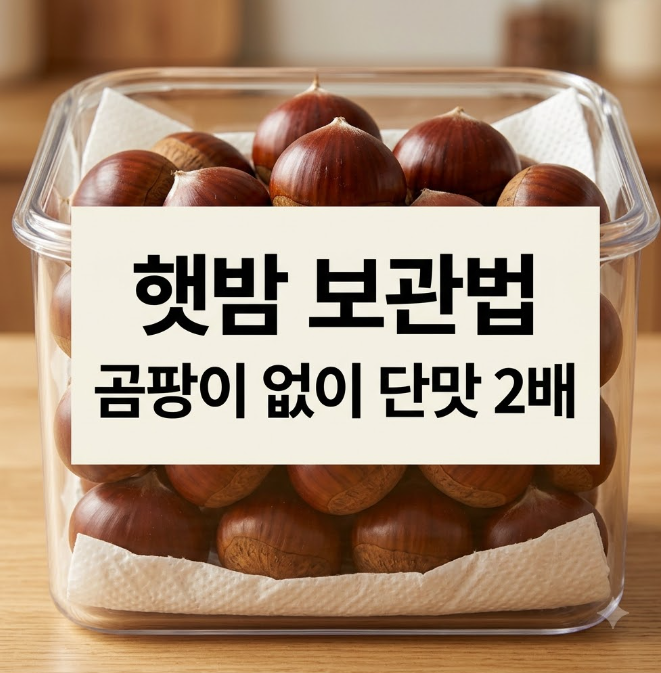그냥 냉장고에 넣으면 곰팡이 핍니다! 햇밤 보관하는 법 따로 있었습니다.