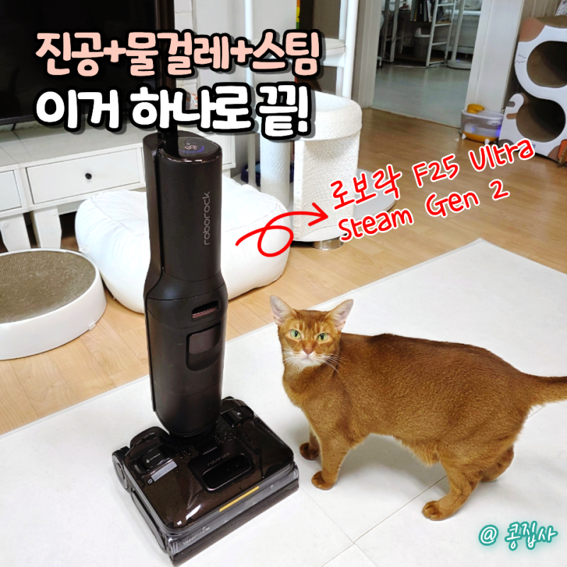 무선스팀청소기 추천, 로보락 F25 Ultra Steam Gen 2로 고양이털청소 해보니