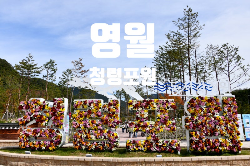 영월 가볼 만한 곳 청령포원 정원박람회 둘째날 방문~10. 11일까지