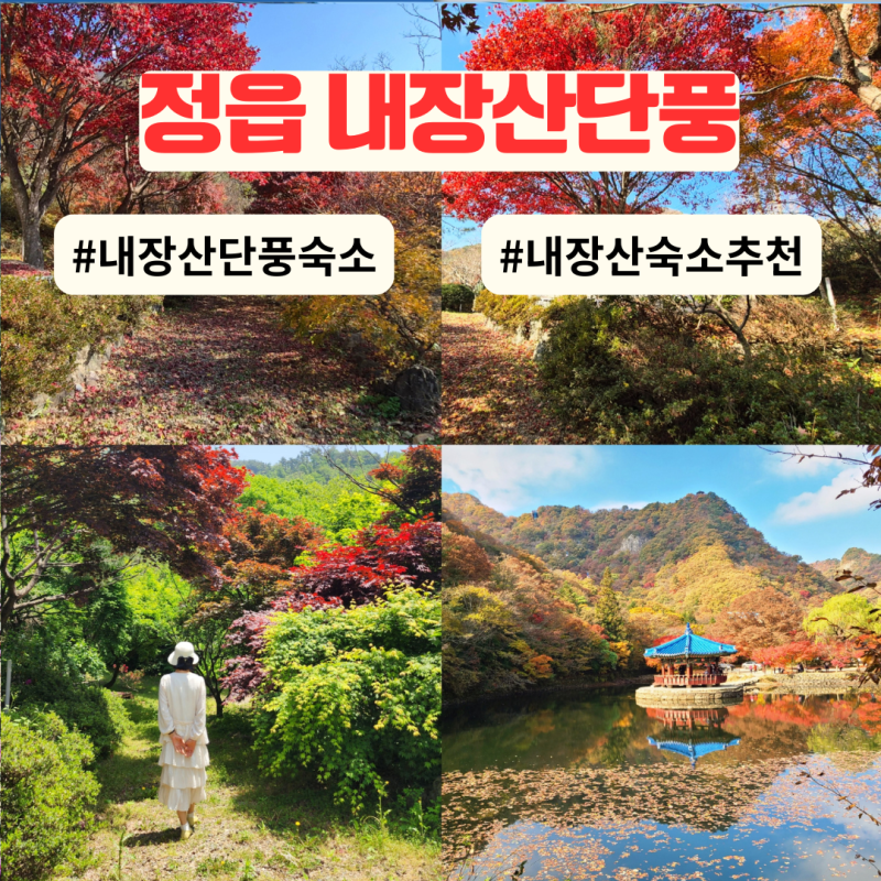 정읍 내장산 숙소 추천 내장산단풍 케이블카 근처 펜션