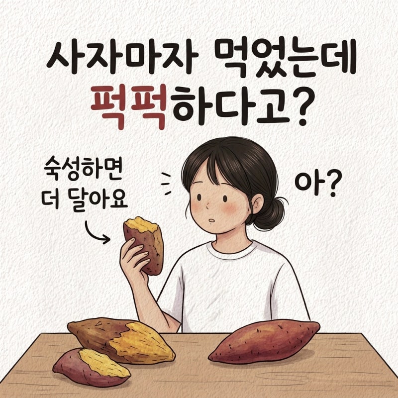"사자마자 먹었는데 퍽퍽하다고?" 꿀고구마 숙성 꿀고구마 보관법 꿀고구마 칼로리 꿀고구마....