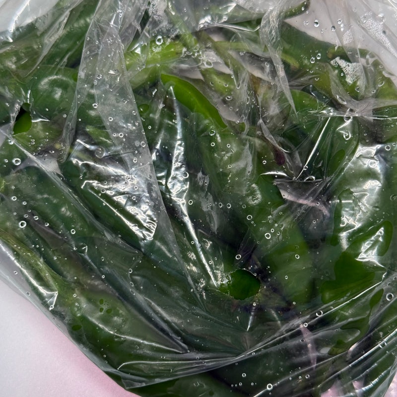 청양고추 싱싱하게 오래 보관하는 법! 냉장·냉동·건조 보관 꿀팁