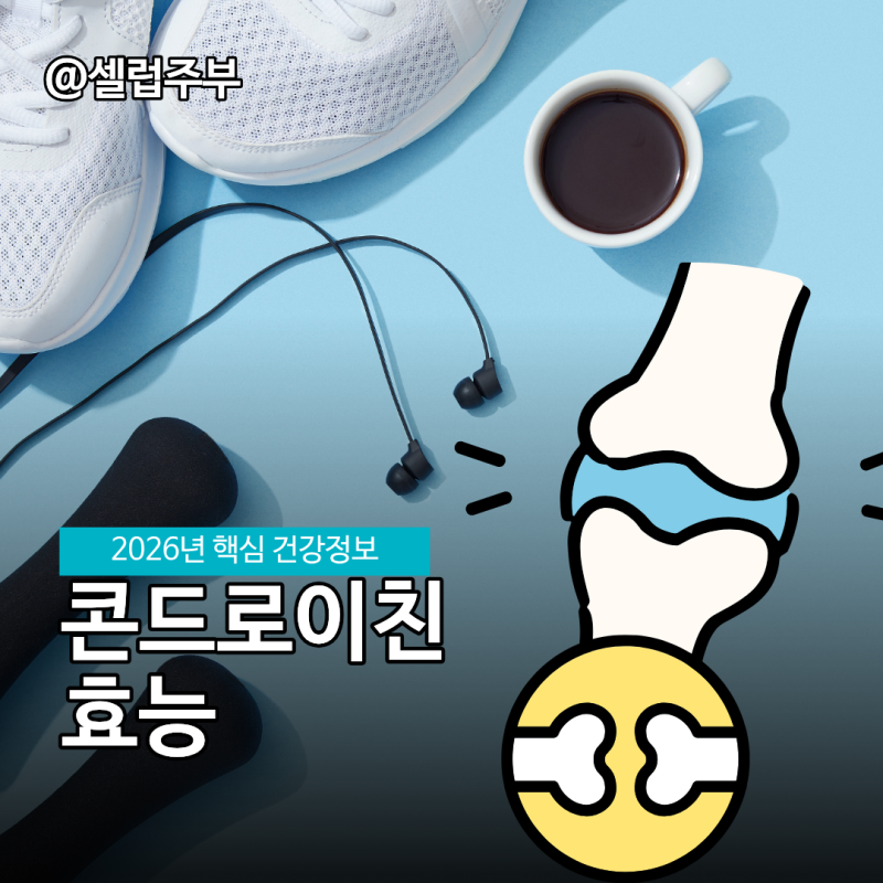 콘드로이친효능 연골 관절영양제 뮤코다당·단백