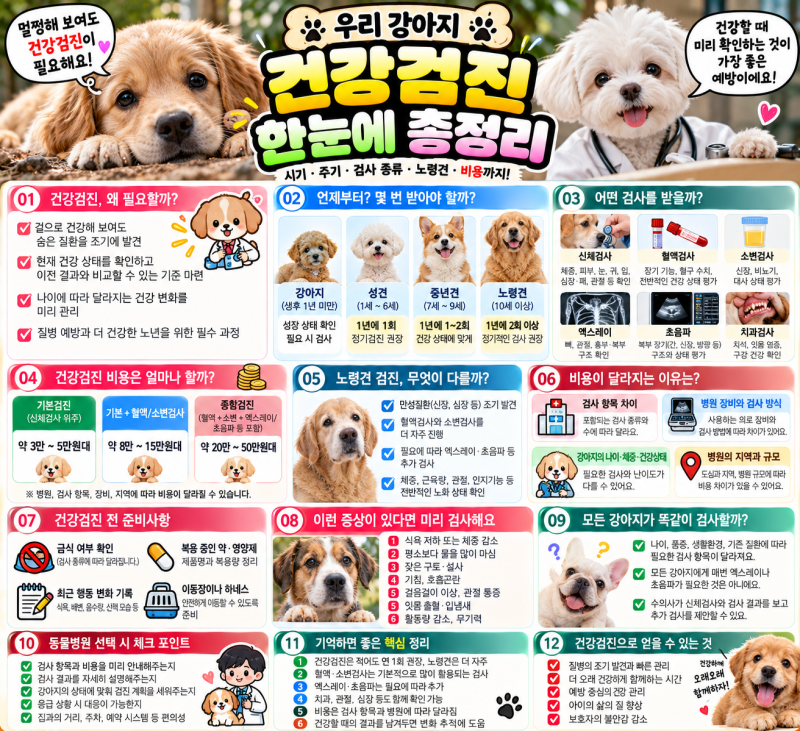 강아지 건강검진은 언제부터 받아야 할까? 검사 종류부터 비용까지 알아보기